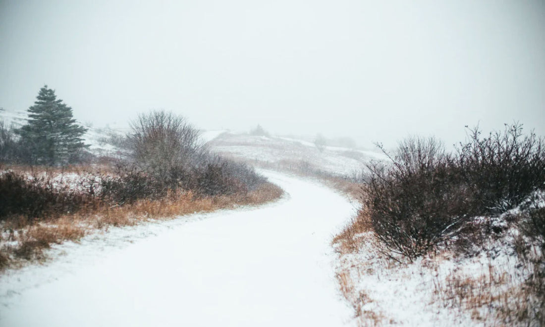 Adapting Wall Art For Different Canadian Seasons- 10 Trends