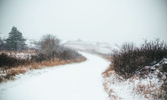 Adapting Wall Art For Different Canadian Seasons- 10 Trends