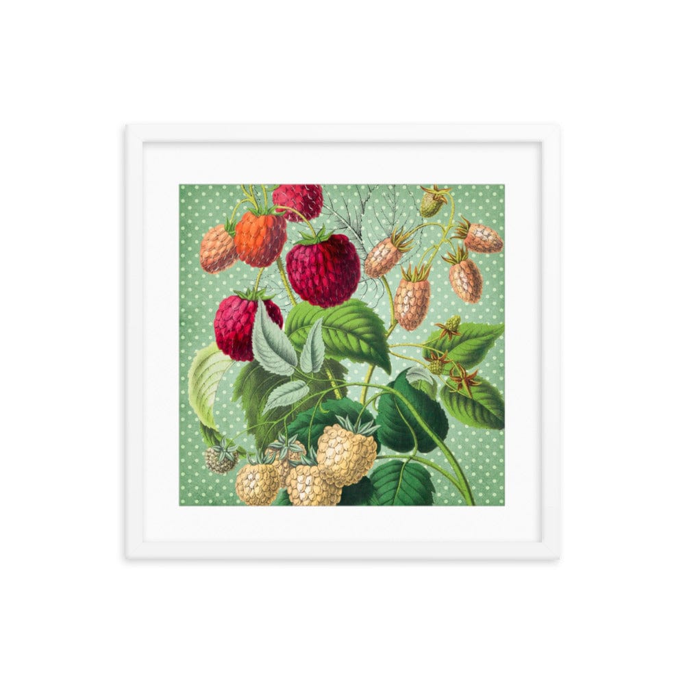 Albino and Ripe Cherries Framed Galant Art