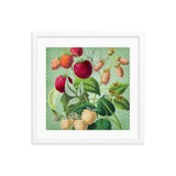 Albino and Ripe Cherries Framed Galant Art