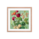 Albino and Ripe Cherries Framed Galant Art