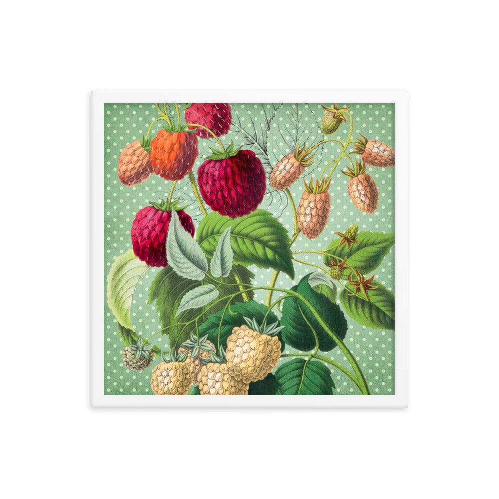 Albino and Ripe Cherries Poster Galant Art