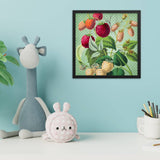 Albino and Ripe Cherries Poster Galant Art