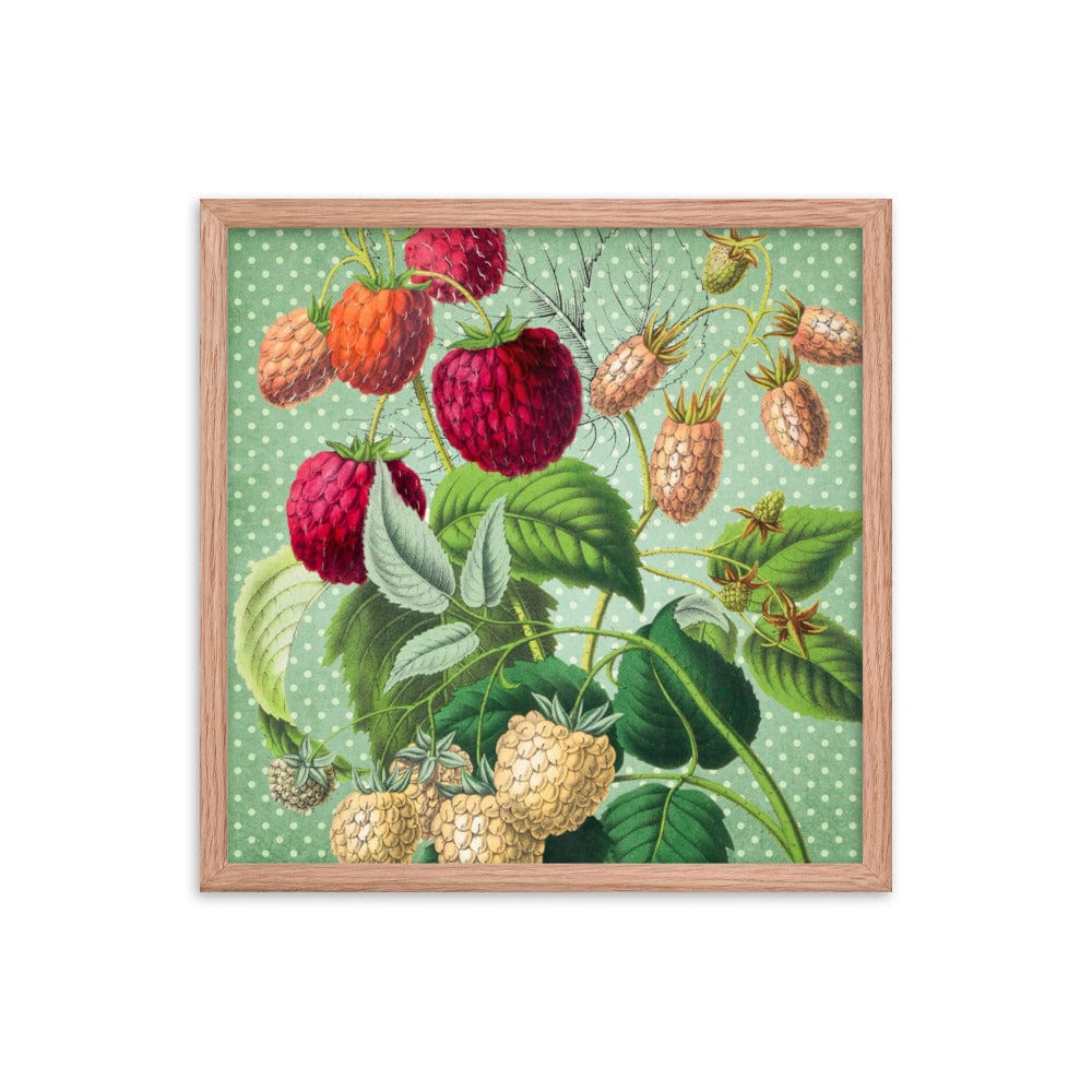 Albino and Ripe Cherries Poster Galant Art