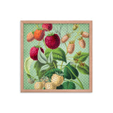 Albino and Ripe Cherries Poster Galant Art