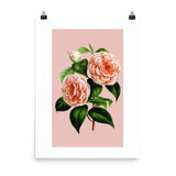 Albino Botti Galant Art