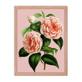 Albino-Botti Poster Galant Art