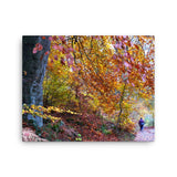 Allee In Fall Canvas Galant Art
