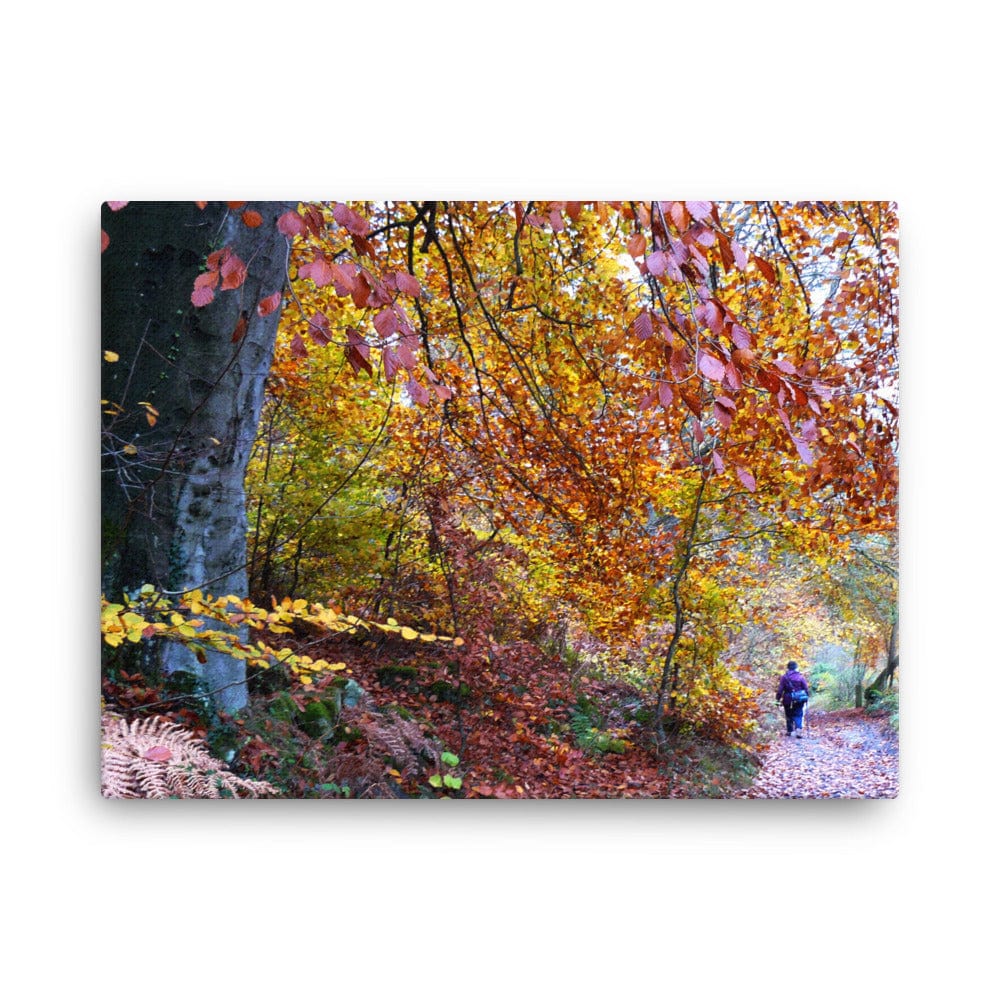 Allee In Fall Canvas Galant Art