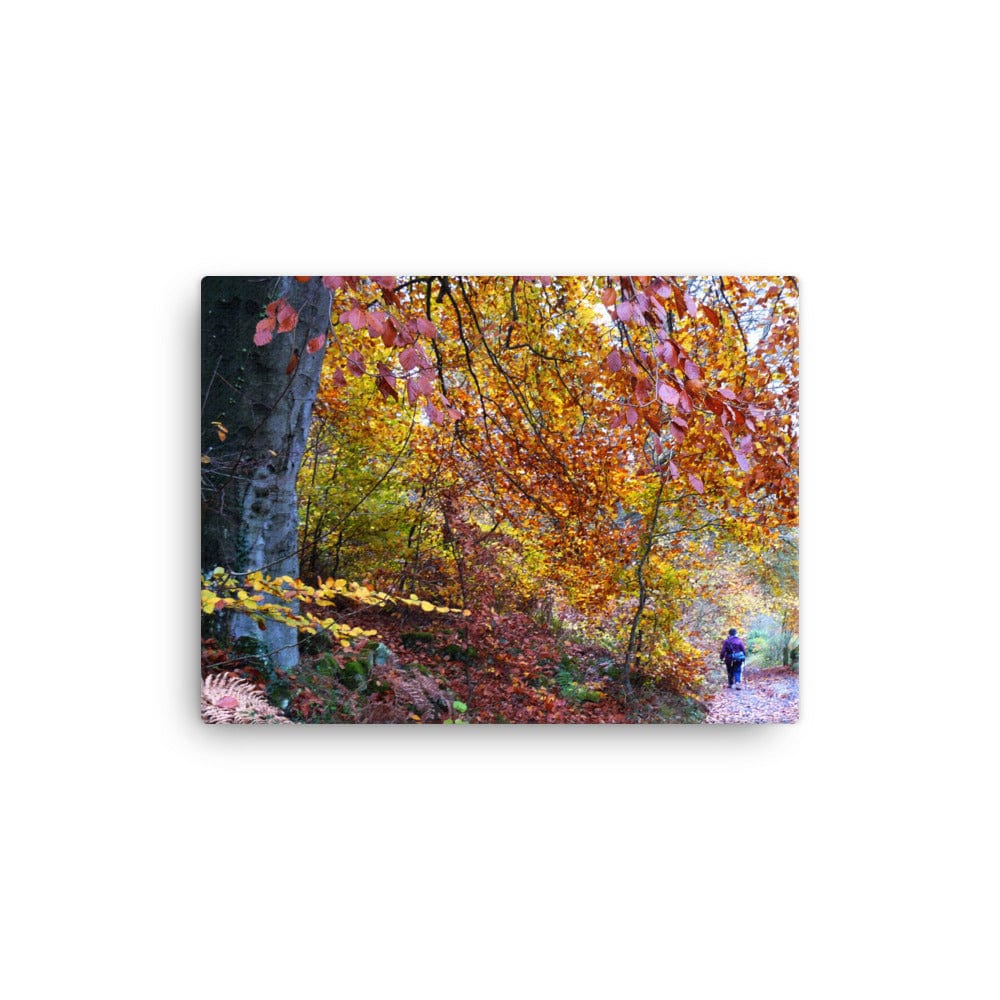 Allee In Fall Canvas Galant Art