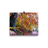 Allee In Fall Print Galant Art