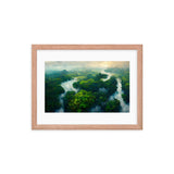 Amazon Tropical River - Framed Galant Art