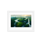 Amazon Tropical River - Framed Galant Art