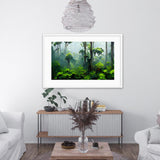 Borneo Rain Forest Trees Framed Galant Art