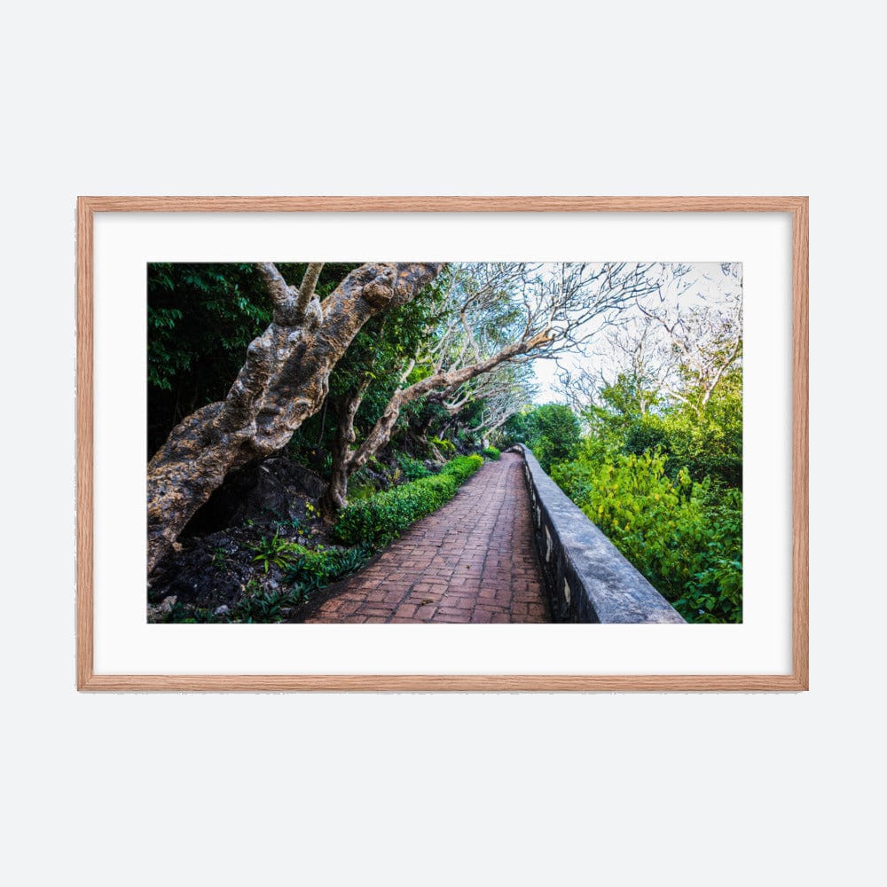 Botanic Garden Framed Poster Galant Art