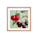 Cherries With Leaves Framed Galant Art