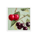 Cherries With Leaves Poster Galant Art