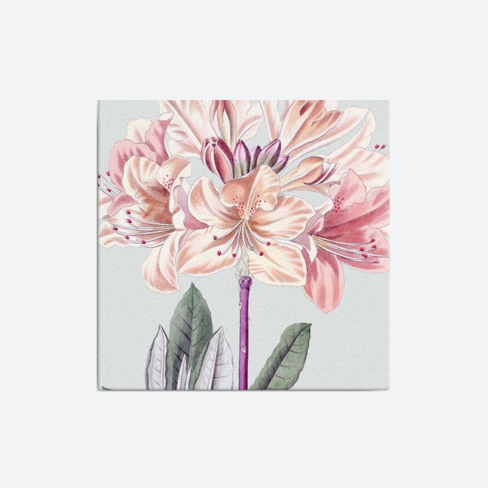 Chinese Yellow Azalea Canvas Galant Art