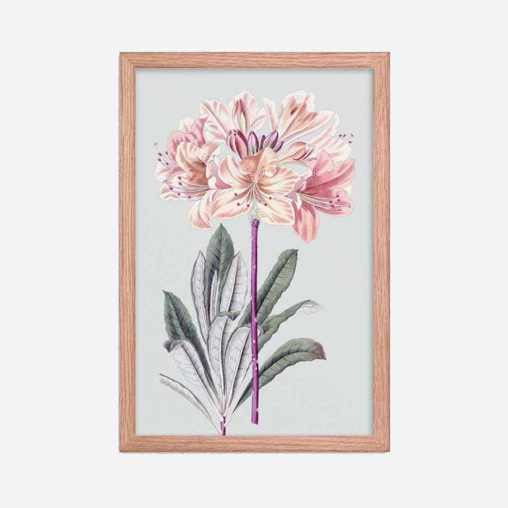 Chinese Yellow Azalea Poster Galant Art