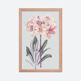 Chinese Yellow Azalea Poster Galant Art