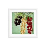 Multi Colored Cherries Framed Galant Art