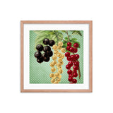 Multi Colored Cherries Framed Galant Art