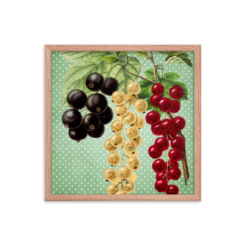 Multi Colored Cherries Poster Galant Art