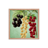 Multi Colored Cherries Poster Galant Art