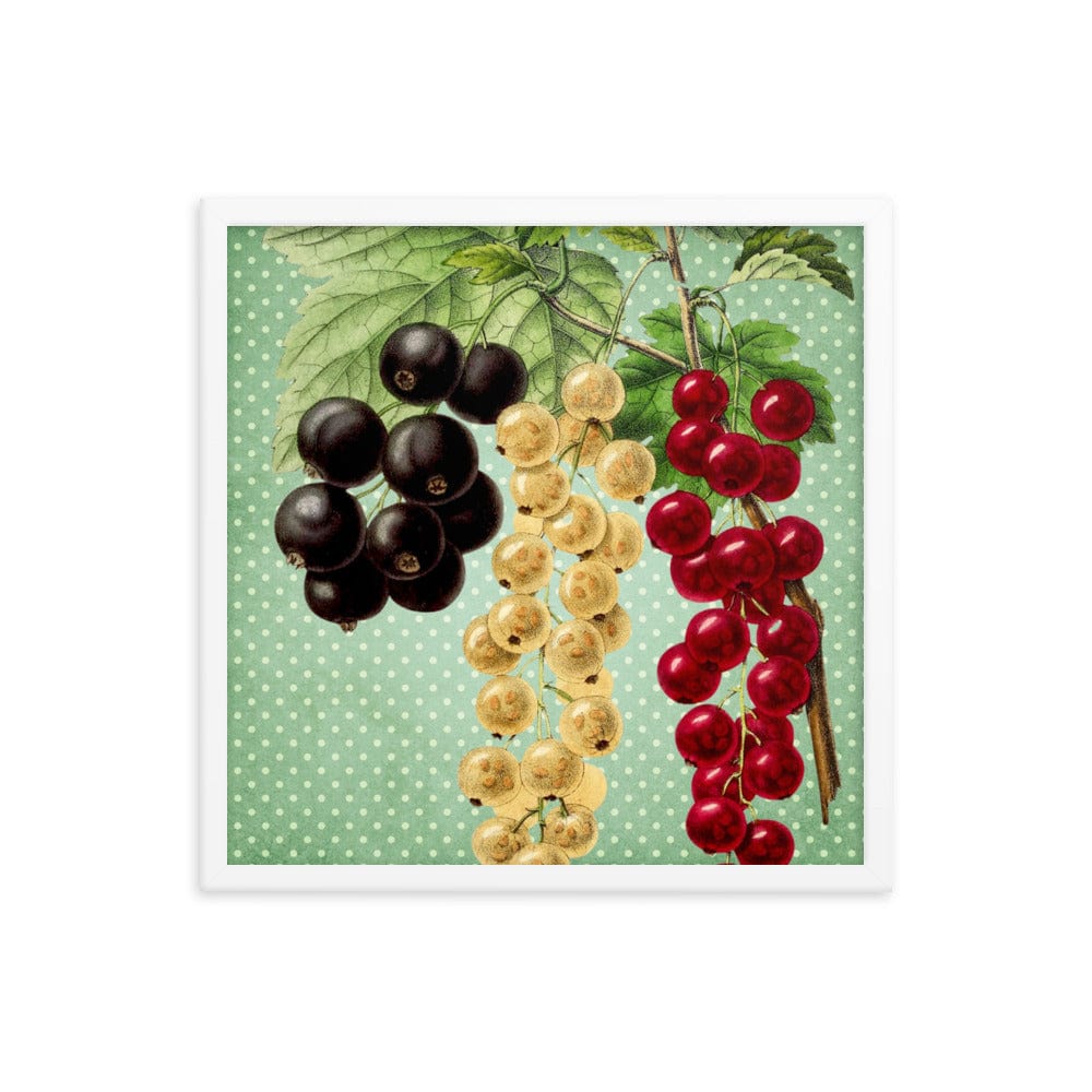 Multi Colored Cherries Poster Galant Art