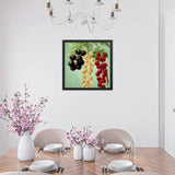 Multi Colored Cherries Poster Galant Art