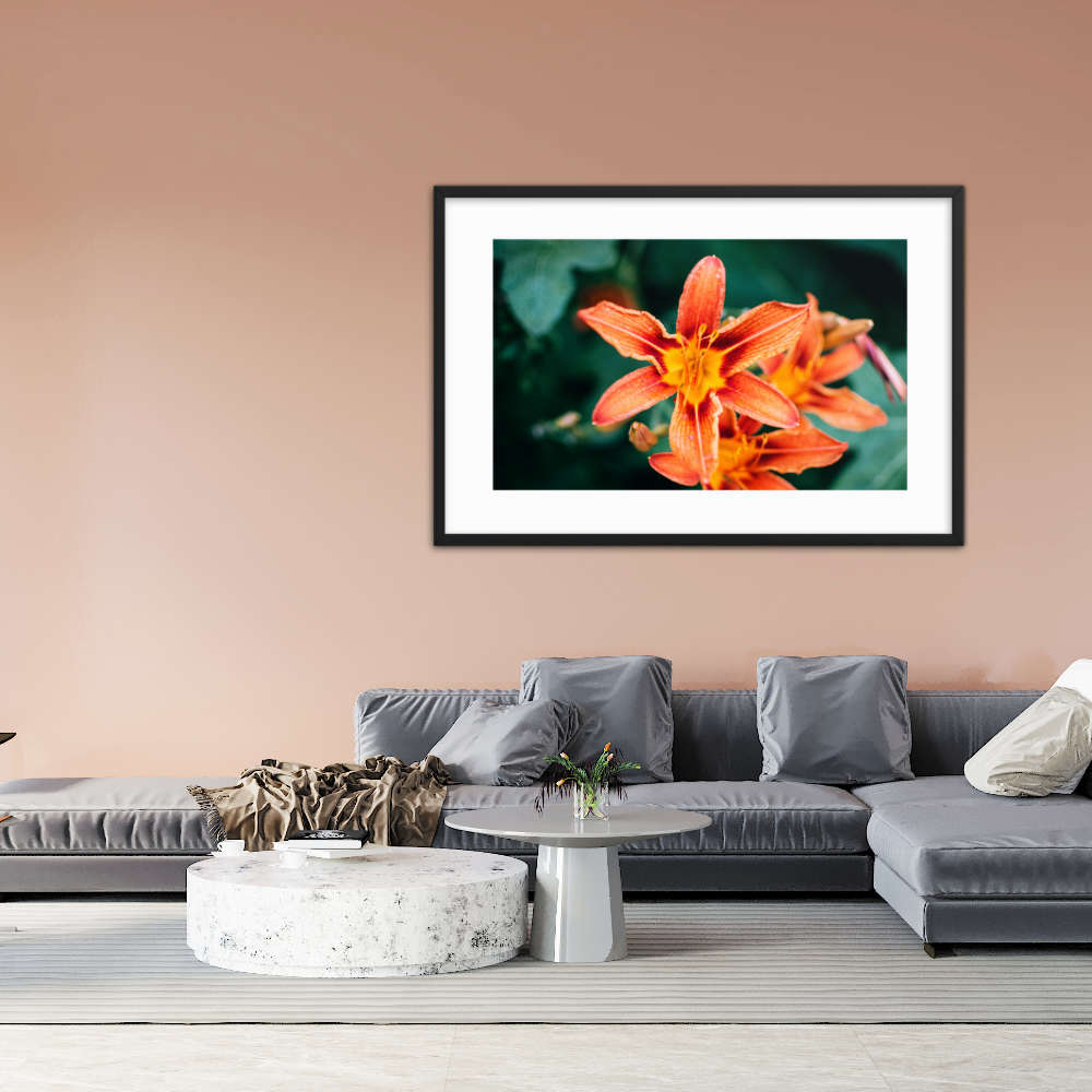 The belladonna lily Galant Art