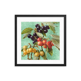 A Bundle Of Cherries Framed Galant Art