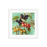 A Bundle Of Cherries Framed Galant Art