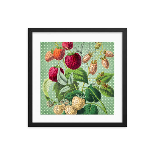 Albino and Ripe Cherries Framed Galant Art