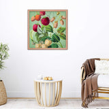 Albino and Ripe Cherries Poster Galant Art