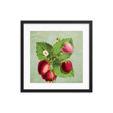 Albino Berries Framed Galant Art