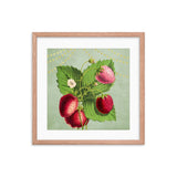 Albino Berries Framed Galant Art