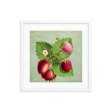 Albino Berries Framed Galant Art