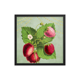 Albino Berries Poster Galant Art