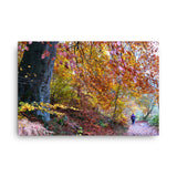 Allee In Fall Canvas Galant Art