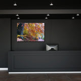 Allee In Fall Canvas Galant Art