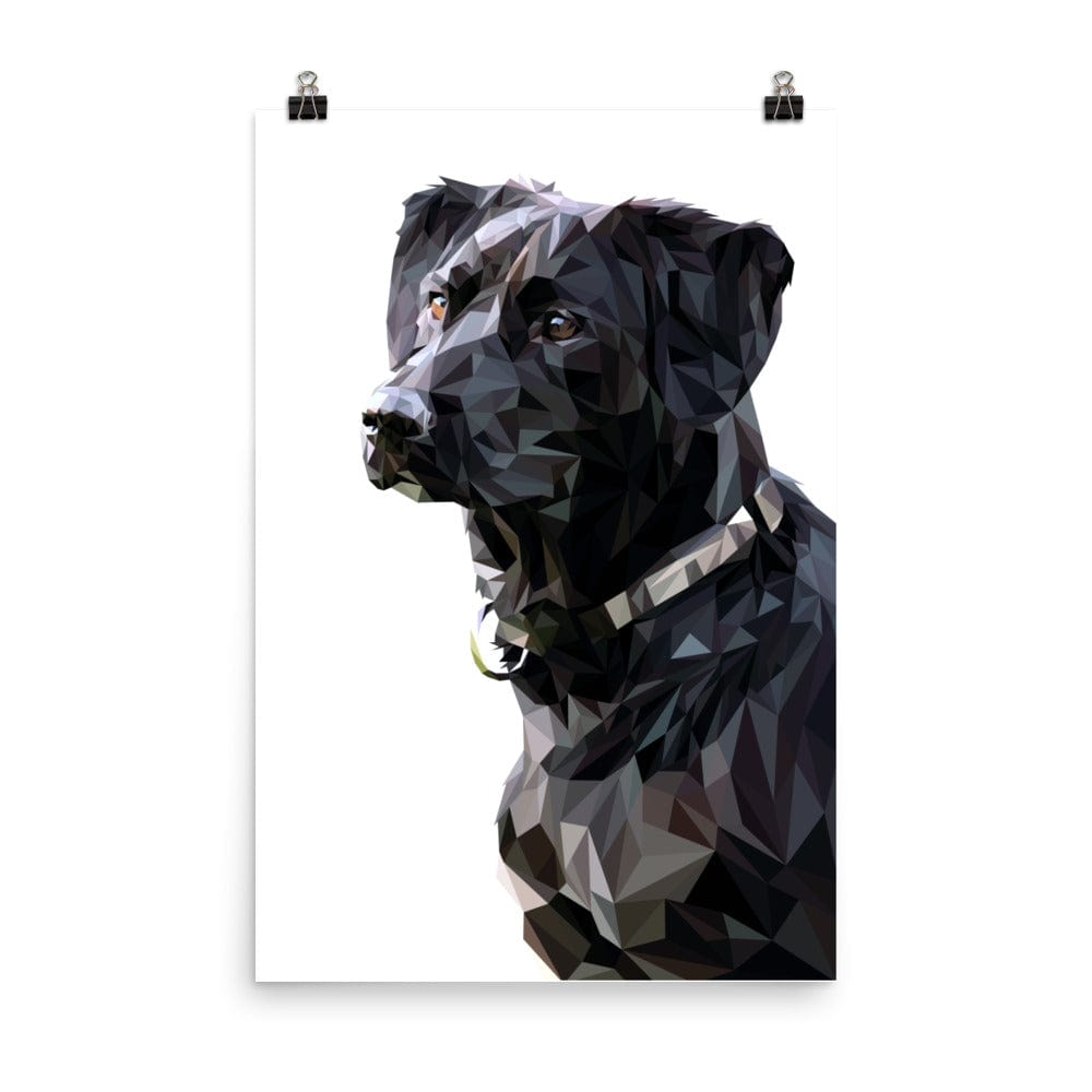 Black Dog Poly Galant Art