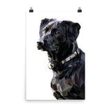 Black Dog Poly Galant Art