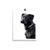 Black Dog Poly Galant Art