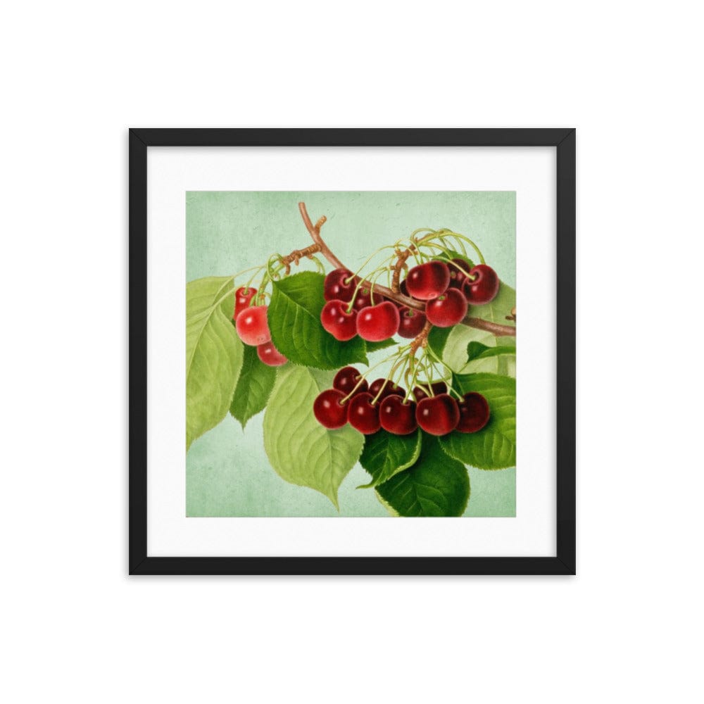 Bunch Of Cherries Framed Galant Art