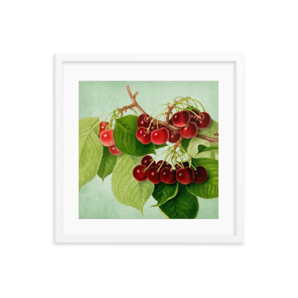 Bunch Of Cherries Framed Galant Art