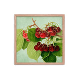 Bunch Of Cherries Poster Galant Art