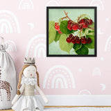 Bunch Of Cherries Poster Galant Art