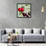 Cherries With Leaves Poster Galant Art