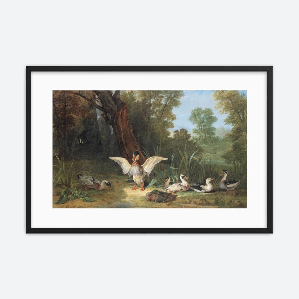 Ducks Resting In Sunshine Galant Art